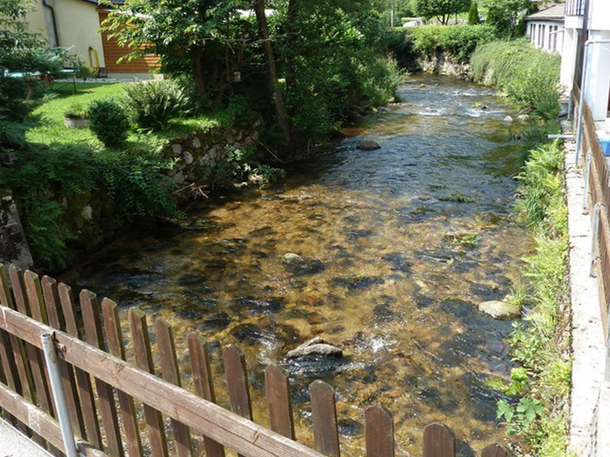 Landgasthof-Hotel-Roessle Oberprechtal Esterno foto